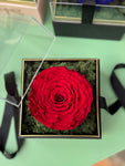 Cubo Petalos Eternos