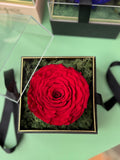 Cubo Petalos Eternos