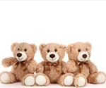 Teddy Pequeño