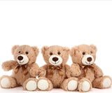 Teddy Pequeño