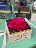 Cubo Petalos Eternos