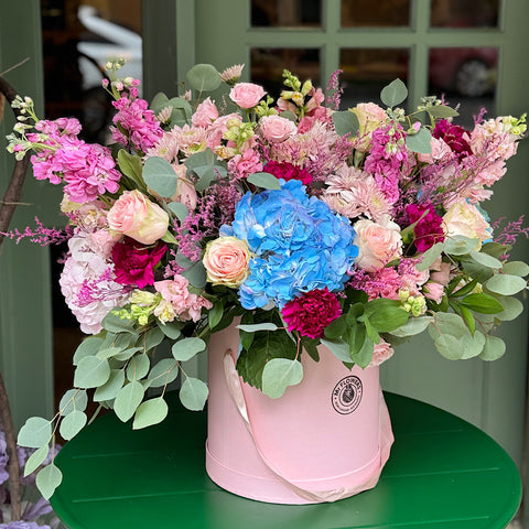 Pink and blue garden flowers