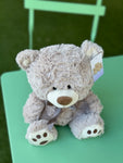 Teddy Cariñoso Pequeño