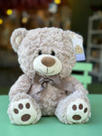 Teddy Cariñoso Pequeño