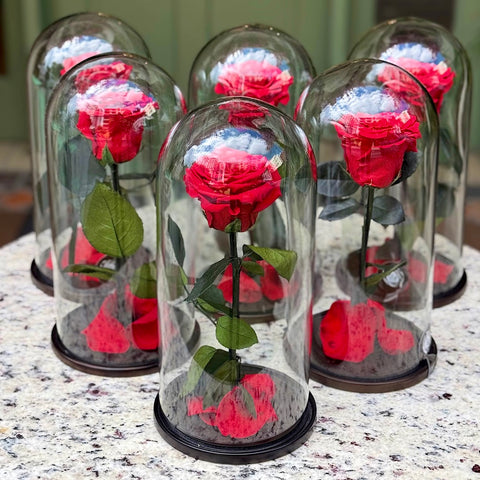 Luxury of LOVE