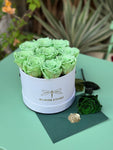 Mint Petals