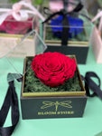 Cubo Petalos Eternos