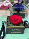 Cubo Petalos Eternos