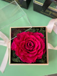 Cubo Petalos Eternos