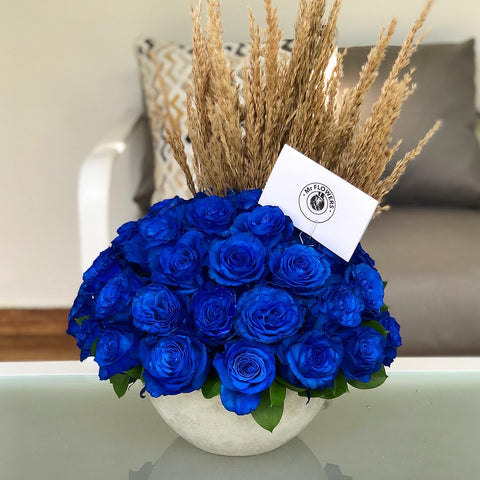 Concreto 50 Rosas Importadas Azules