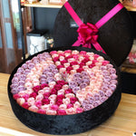 Box Gigante Colores Pasteles