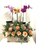 Baúl de Orquideas Phalaenopsis y Rosas Importadas