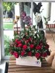 Baúl de Orquideas Phalaenopsis y Rosas Importadas