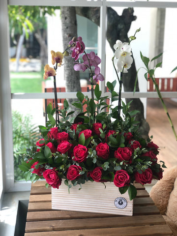Baúl de Orquideas Phalaenopsis y Rosas Importadas