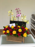 Baúl de Orquideas Phalaenopsis y Rosas Importadas