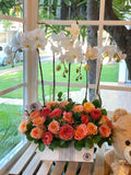 Baúl de Orquideas Phalaenopsis y Rosas Importadas