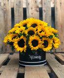 Girasoles locales 24