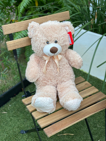 Teddy Pequeño Lazo Dorado